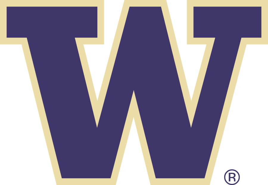 Washington Huskies iron ons